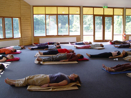 Yoga Nidra Practices for Creating Change 